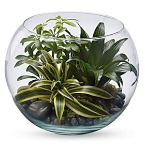 Clear Bubble Planter Terrarium / Fish Bowl 6" Diameter, 4.5" Tall, Opening 4"